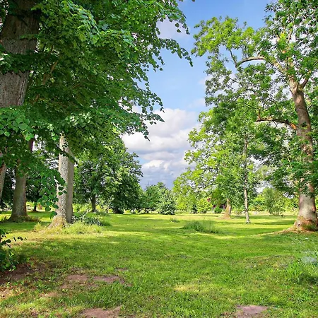 Apartament Ferienwohnung Ankershagen Ankershagen